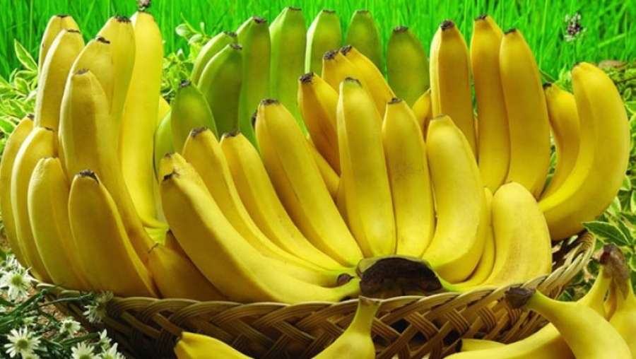 Cameroun : les exportations de la banane ont chuté au premier semestre de l’année 2020