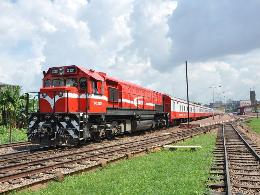 Cameroun : la société ferroviaire Camrail investit 400 millions de FCFA pour renforcer la préservation de l’environnement sur la voie ferrée