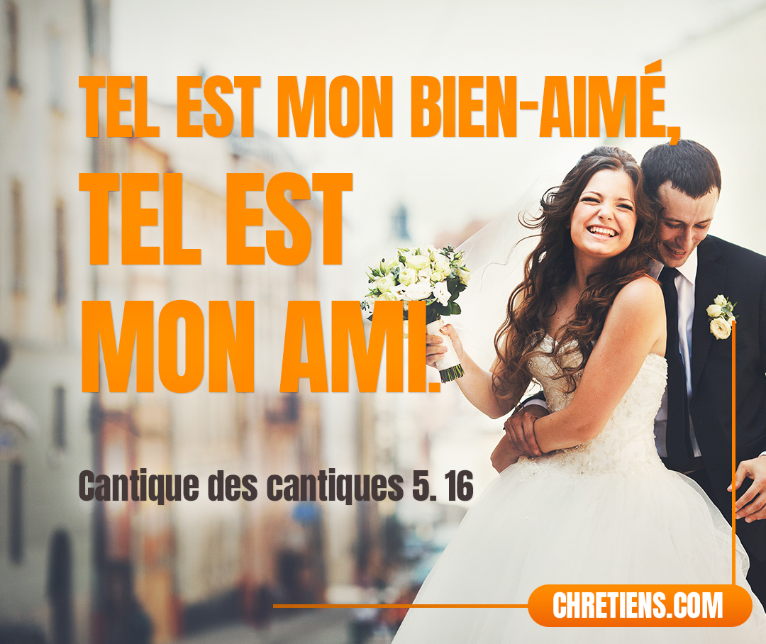 Son palais n’est que douceur, Et toute sa personne est pleine de charme. Tel est mon bien-aimé, tel est mon ami, Filles de Jérusalem ! Cantique des Cantique 5:16