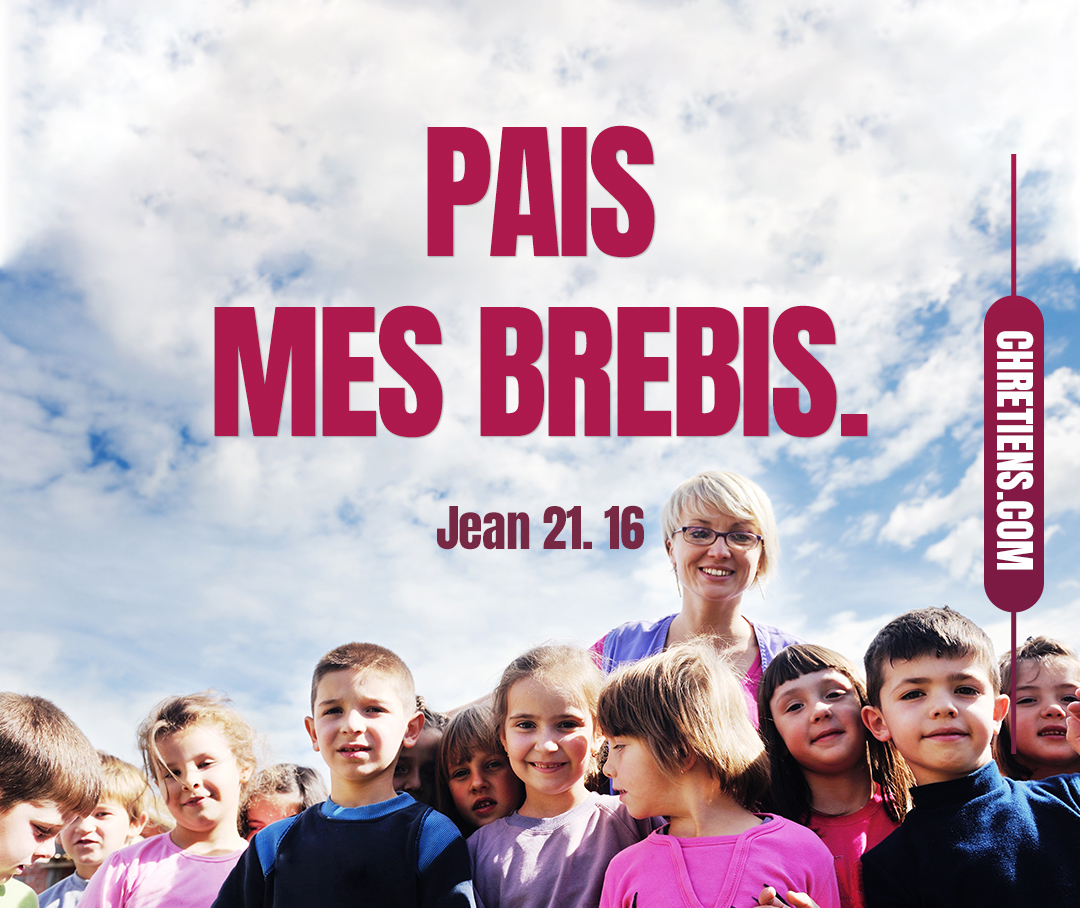 Pais mes brebis. Jean 21:16