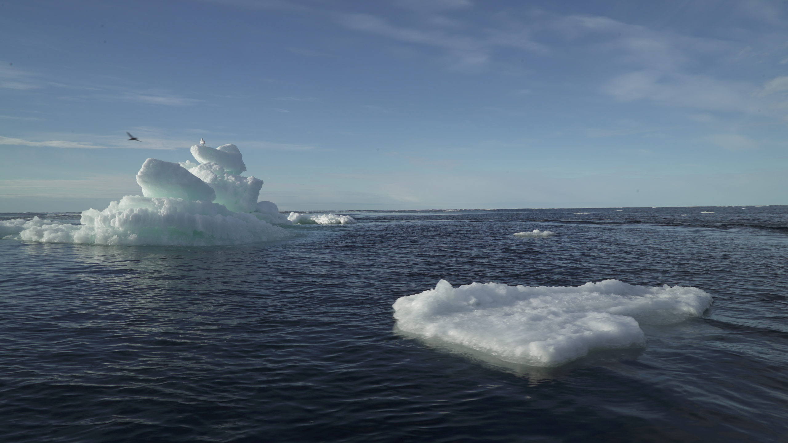 La banquise arctique a atteint sa deuxième superficie la plus faible