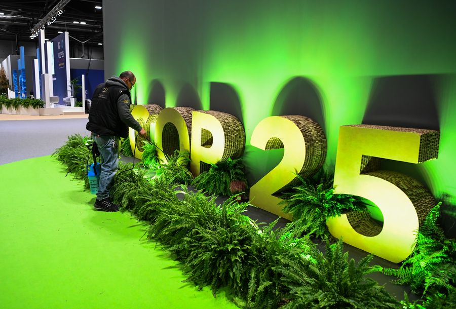 Un membre du personnel arrose des plantes lors de la Conférence des Nations Unies sur le changement climatique (COP25) à Madrid, en Espagne, le 12 décembre 2019. (Xinhua/Lu Yang)