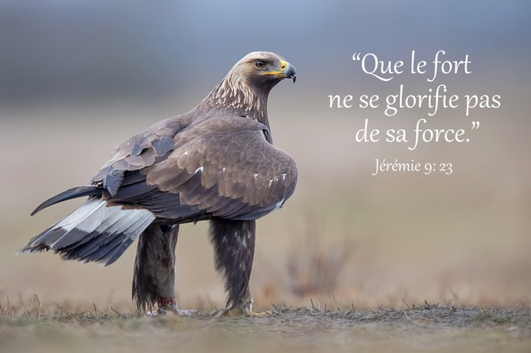 "Que le sage ne se glorifie pas de sa sagesse, Que le fort ne se glorifie pas de sa force, Que le riche ne se glorifie pas de sa richesse." (Jérémie 9:23)