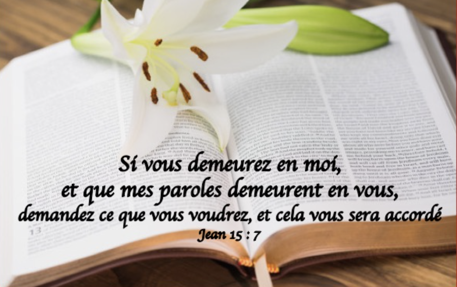 "Si vous demeurez en moi, et que mes paroles demeurent en vous, demandez ce que vous voudrez, et cela vous sera accordé." (Jean 15:7)