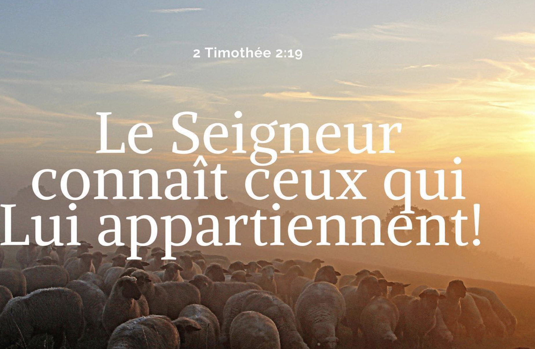 Le Seigneur connaît ceux qui lui appartiennent; et: Quiconque prononce le nom du Seigneur, qu'il s'éloigne de l'iniquité. 2 Timothée 2:19