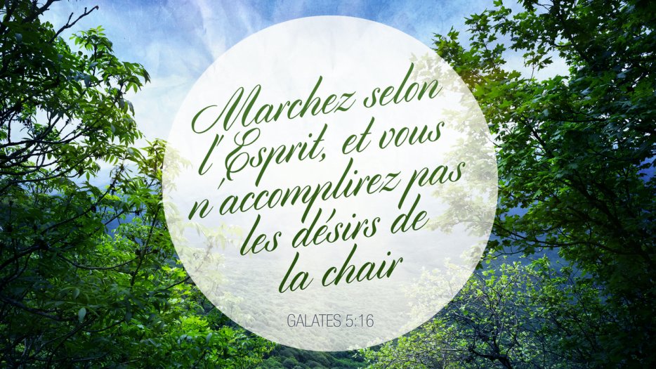 "Marchez selon l'Esprit, et vous n'accomplirez pas les désirs de la chair." (Galates 5:17)