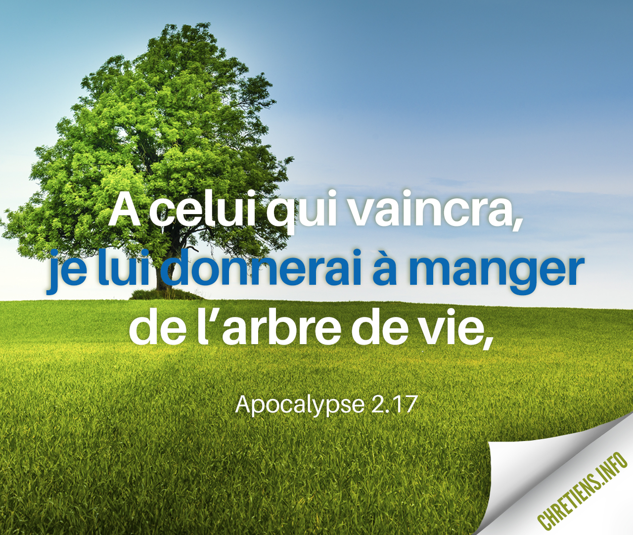 A celui qui vaincra je donnerai de la manne cachée. Apocalypse 2:17