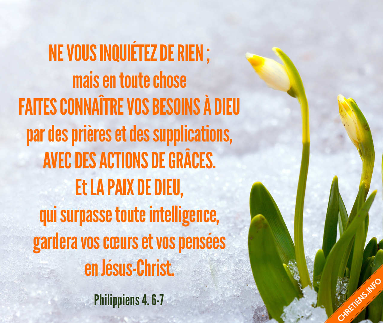 Ne vous inquiétez de rien ; mais en toute chose faites connaître vos besoins à Dieu par des prières et des supplications, avec des actions de grâces. Philippiens 4:6