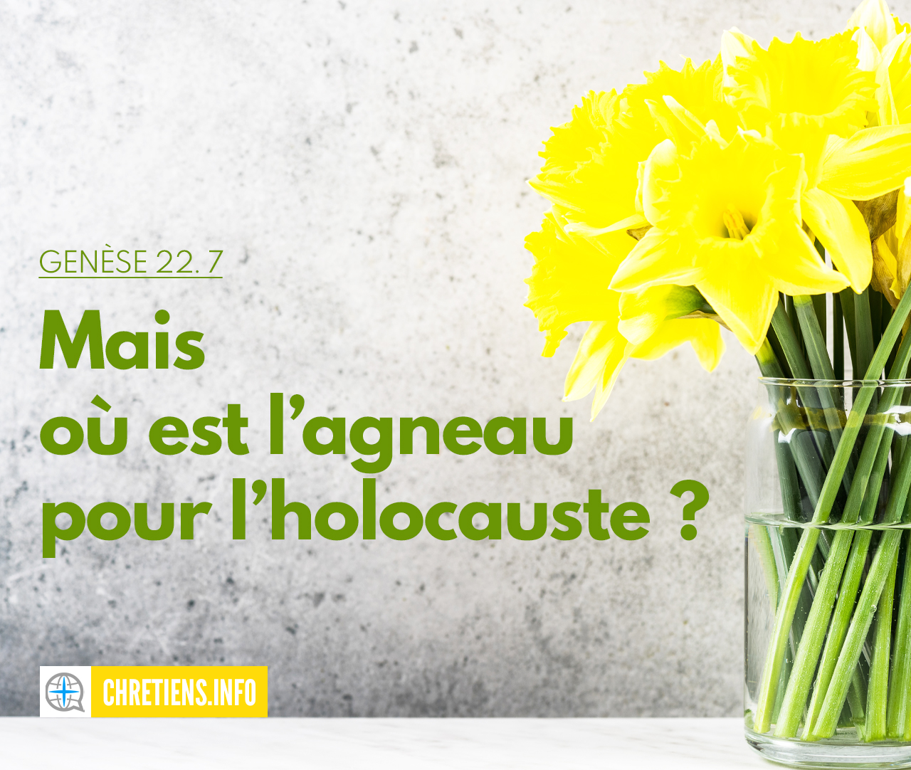 Où est l’agneau pour l’holocauste ? Genèse 22:7