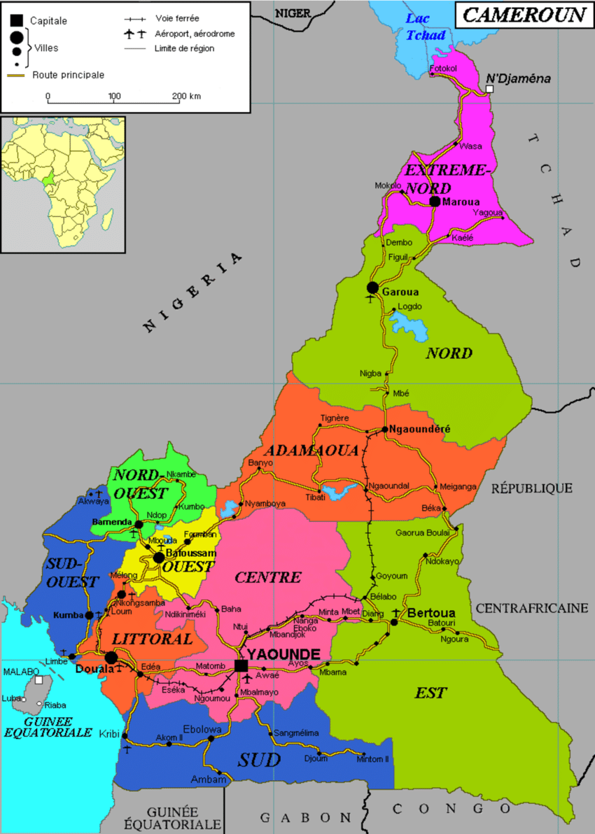 Le Cameroun va bientôt réécrire son Histoire générale