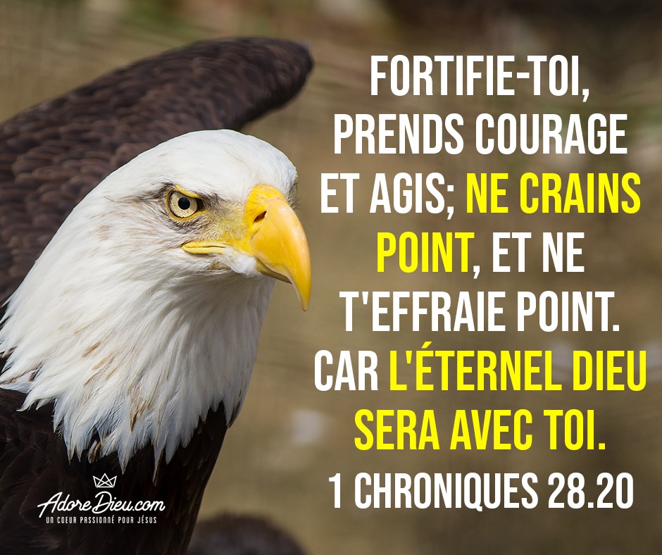 "David dit à Salomon, son fils: Fortifie-toi, prends courage et agis; ne crains point, et ne t'effraie point. Car l'Eternel Dieu, mon Dieu, sera avec toi; il ne te délaissera point, il ne t'abandonnera point, jusqu'à ce que tout l'ouvrage pour le service de la maison de l'Eternel soit achevé." (1 Chroniques 28:20)