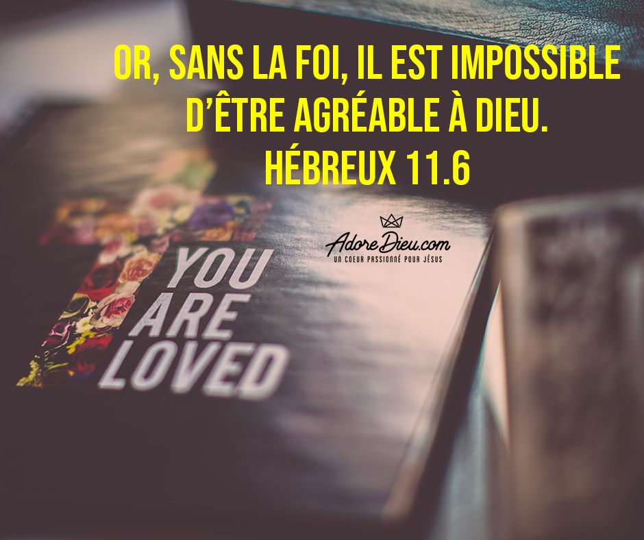 Or sans la foi il est impossible de lui être agréable; car il faut que celui qui s'approche de Dieu croie que Dieu existe, et qu'il est le rémunérateur de ceux qui le cherchent.