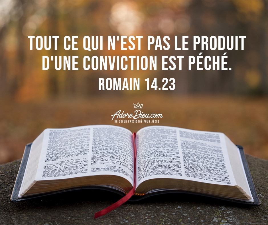 Mais celui qui a des doutes au sujet de ce qu'il mange est condamné, parce qu'il n'agit pas par conviction. Tout ce qui n'est pas le produit d'une conviction est péché.