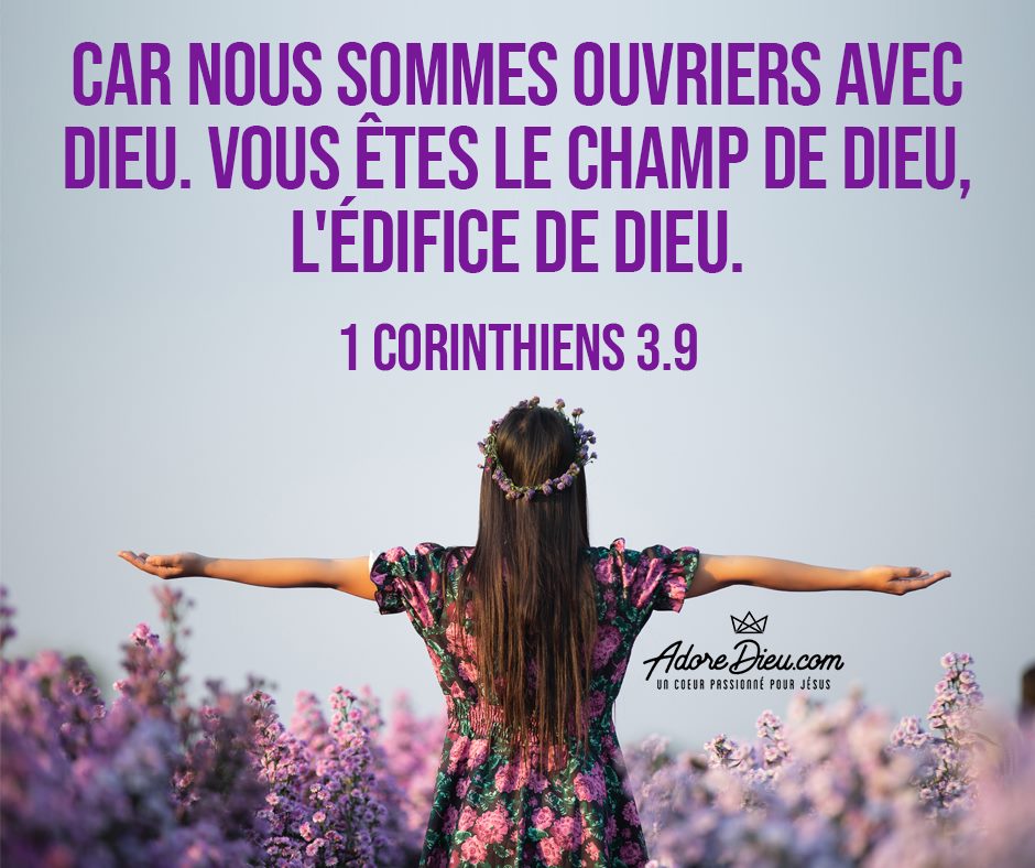 Car nous sommes ouvriers avec Dieu. Vous êtes le champ de Dieu, l'édifice de Dieu.