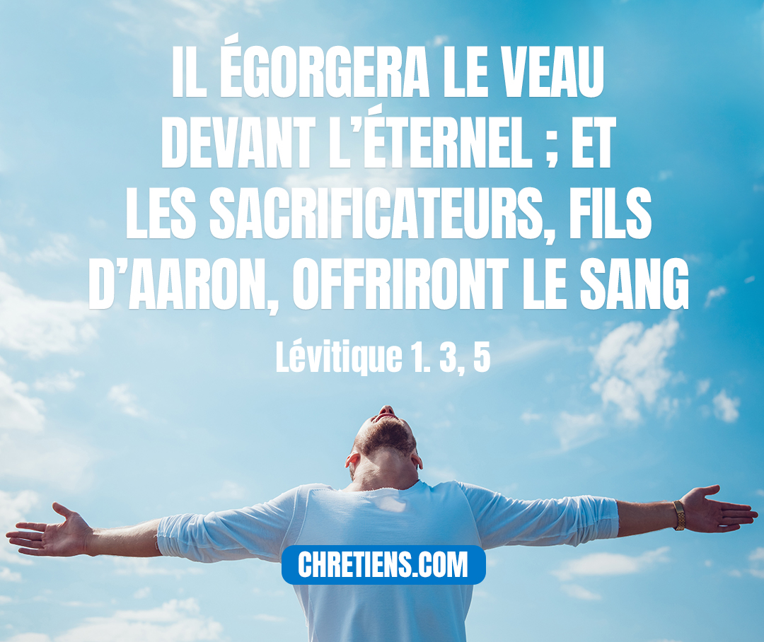 Il égorgera le veau devant l'Eternel; et les sacrificateurs, fils d'Aaron, offriront le sang, et le répandront tout autour sur l'autel qui est à l'entrée de la tente d'assignation.