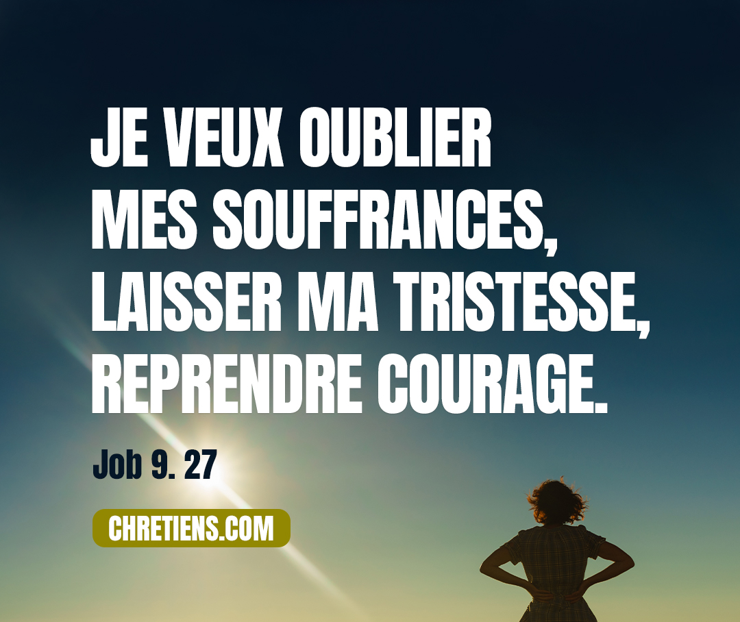 Je veux oublier mes souffrances, laisser ma tristesse, reprendre courage. Job 9:27