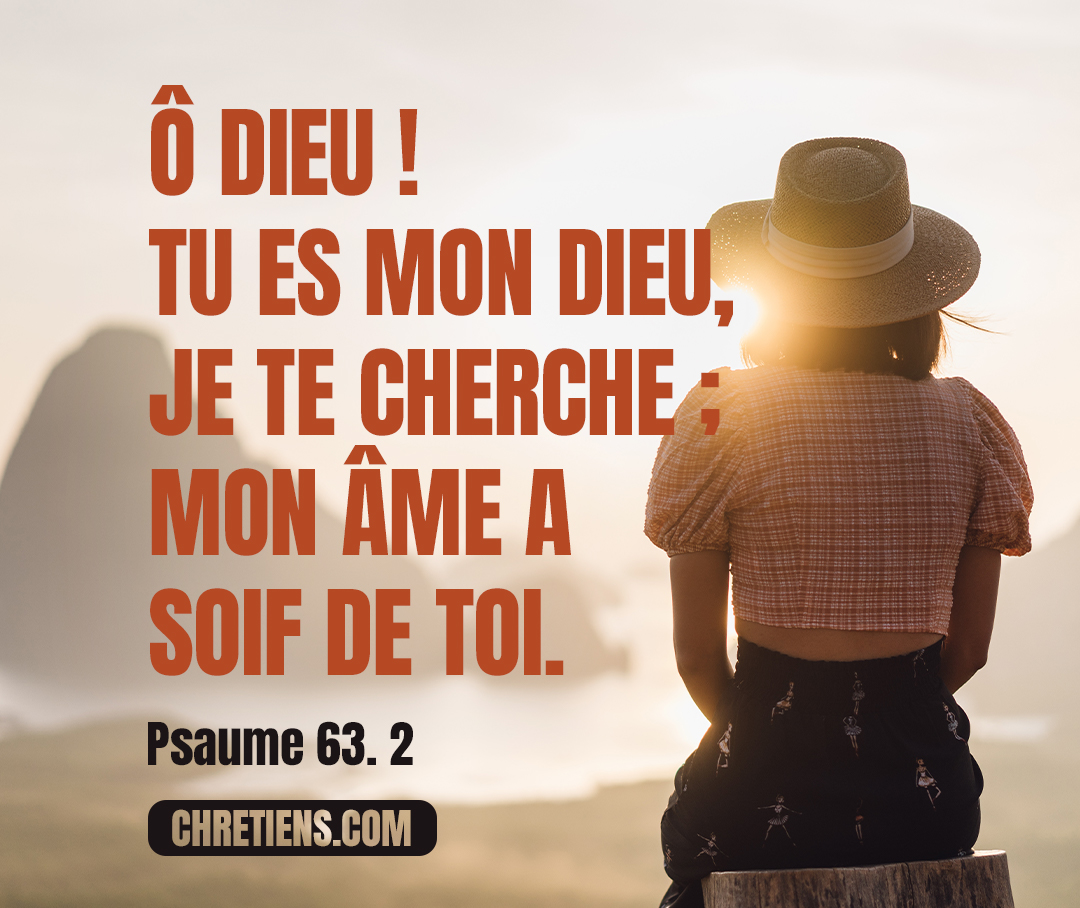 Psaumes 63:2 - (63.3) Ainsi je te contemple dans le sanctuaire, Pour voir ta puissance et ta gloire.