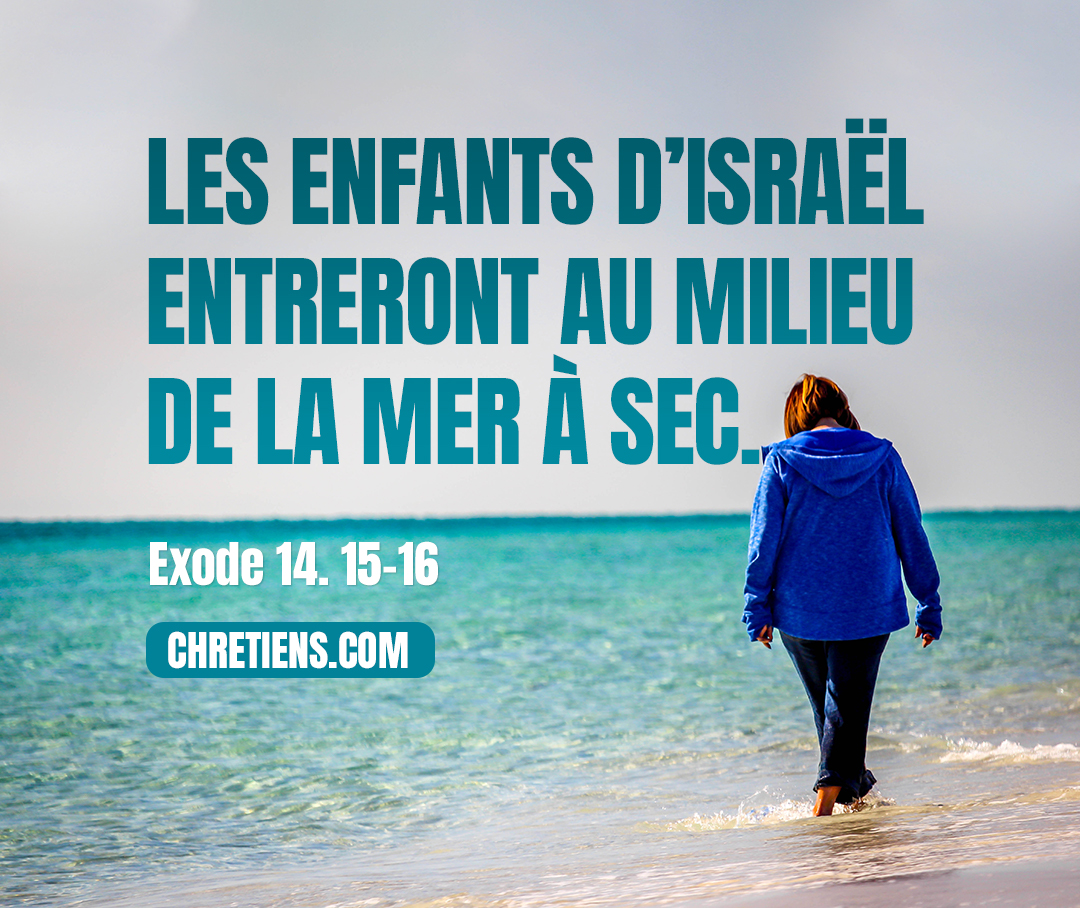 Exode 14:16 - Toi, lève ta verge, étends ta main sur la mer, et fends-la ; et les enfants d’Israël entreront au milieu de la mer à sec.