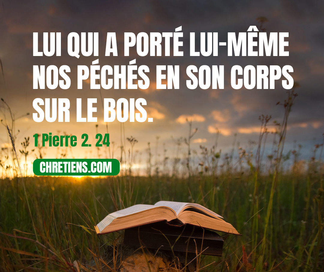 1 Pierre 2:24 - lui qui a porté lui-même nos péchés en son corps sur le bois, afin que morts aux péchés nous vivions pour la justice ; lui par les meurtrissures duquel vous avez été guéris.