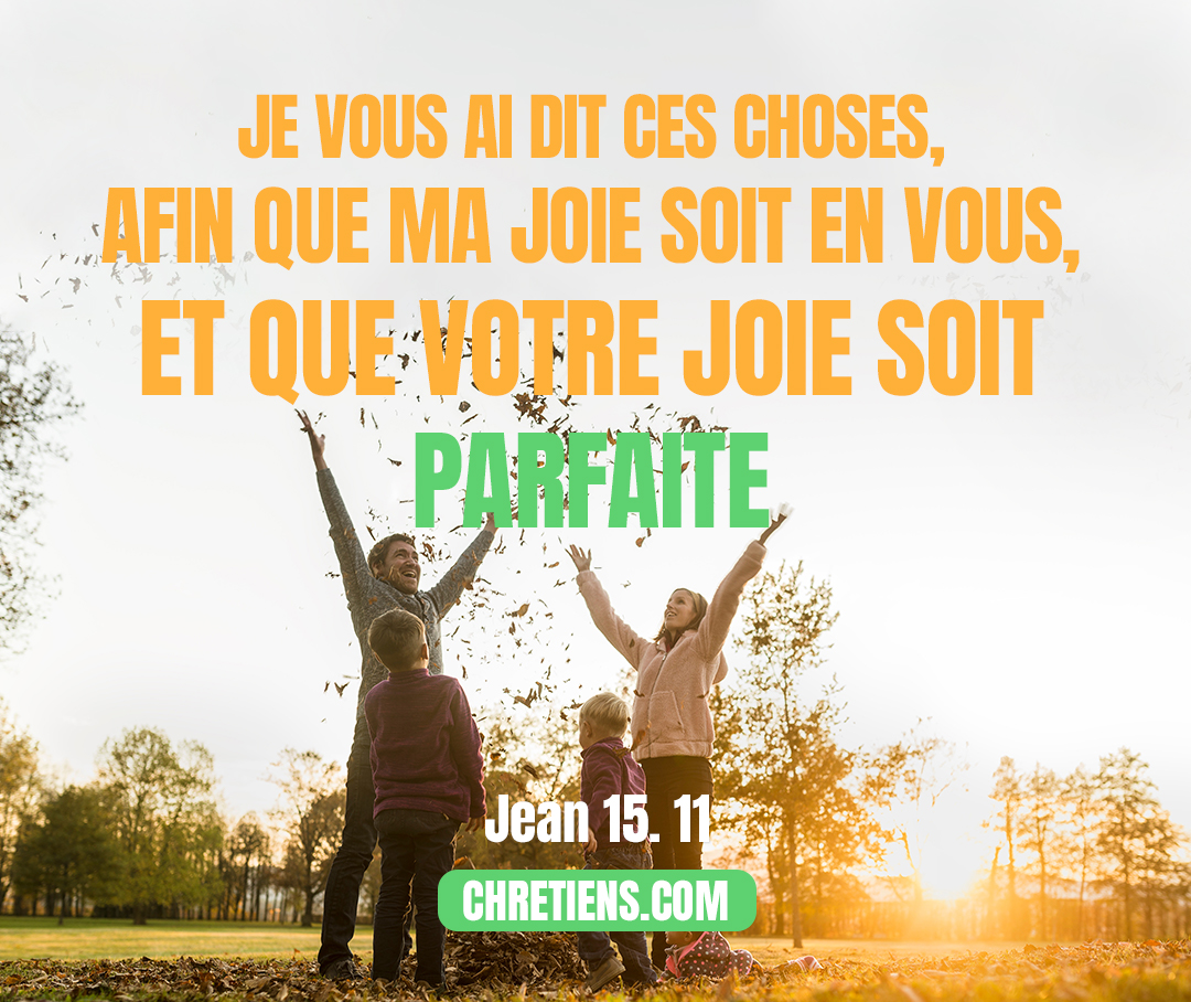 Je vous ai dit ces choses, afin que ma joie soit en vous, et que votre joie soit parfaite. Jean 15:11