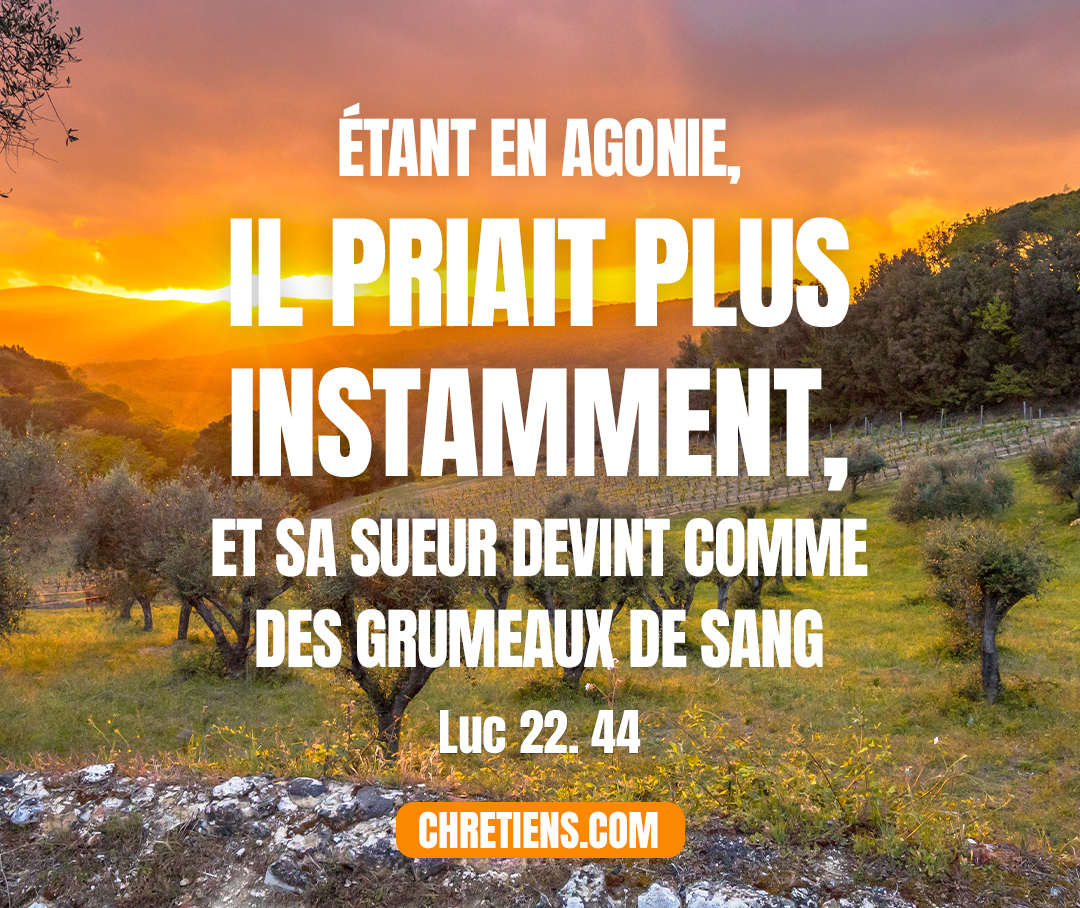 Étant en agonie, il priait plus instamment, et sa sueur devint comme des grumeaux de sang. Luc 22:44