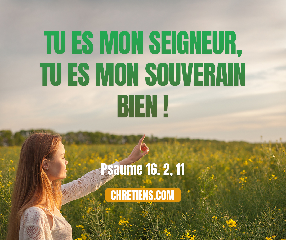 Tu as dit à l’Éternel : Tu es le Seigneur, ma bonté ne s’élève pas jusqu’à toi… Tu me feras connaître le chemin de la vie ; ta face est un rassasiement de joie, il y a des plaisirs à ta droite pour toujours. Psaumes 16:2, 11