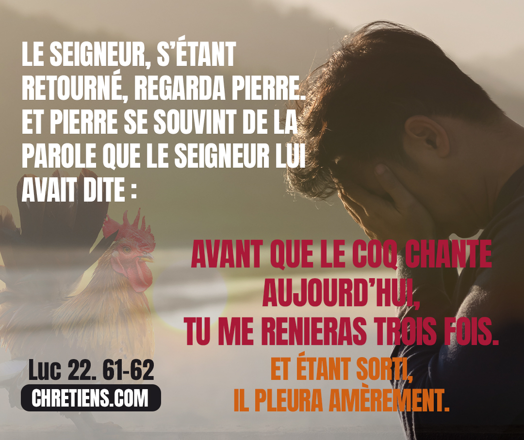 Le Seigneur, s’étant retourné, regarda Pierre. Et Pierre se souvint de la parole que le Seigneur lui avait dite : Avant que le coq chante aujourd’hui, tu me renieras trois fois. Et Pierre, étant sorti dehors, pleura amèrement. Luc 22:61, 62