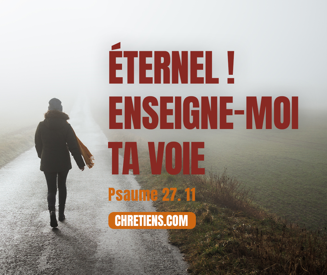 Éternel ! Enseigne-moi ta voie, Conduis-moi dans le sentier de la droiture, À cause de mes ennemis. Psaumes 27:11