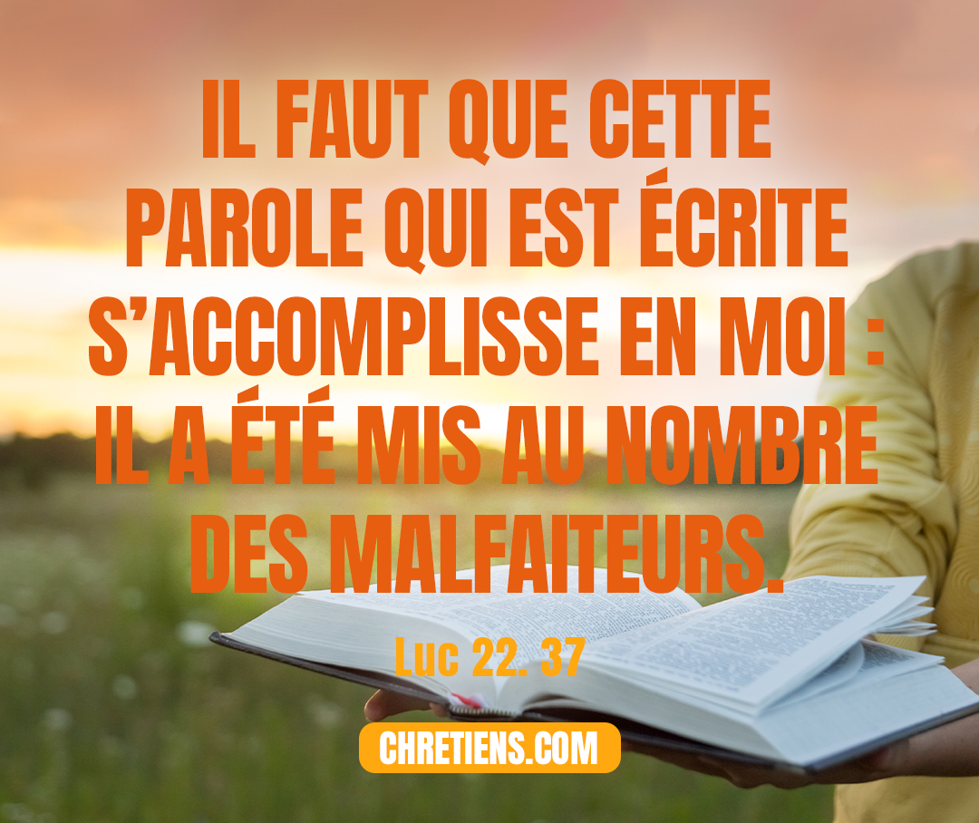 Car, je vous le dis, il faut que cette parole qui est écrite s’accomplisse en moi : Il a été mis au nombre des malfaiteurs. Et ce qui me concerne est sur le point d’arriver. Luc 22:37