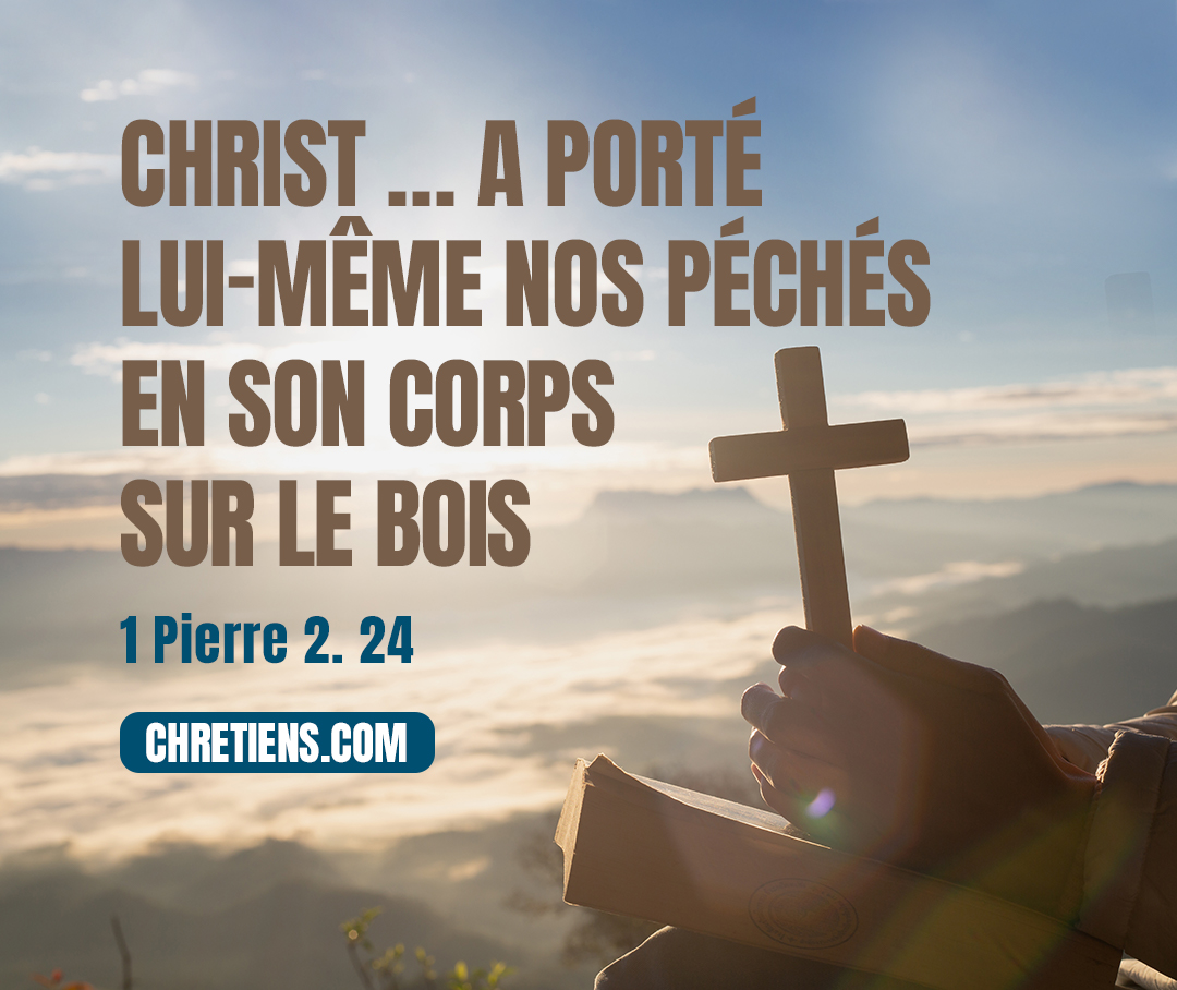 1 Pierre 2:24 - lui qui a porté lui-même nos péchés en son corps sur le bois, afin que morts aux péchés nous vivions pour la justice ; lui par les meurtrissures duquel vous avez été guéris.