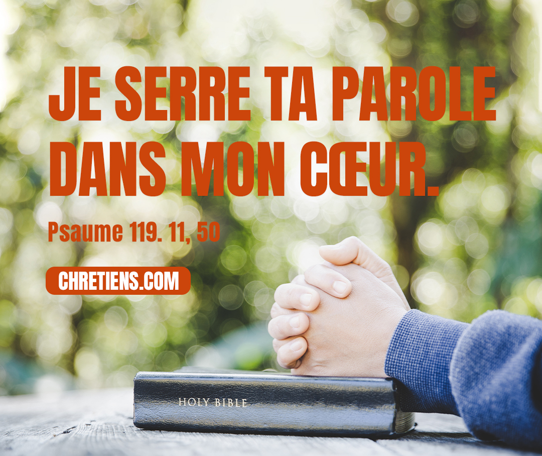 Je serre ta parole dans mon cœur, afin de ne pas pécher contre toi. Psaumes 119:11, 50