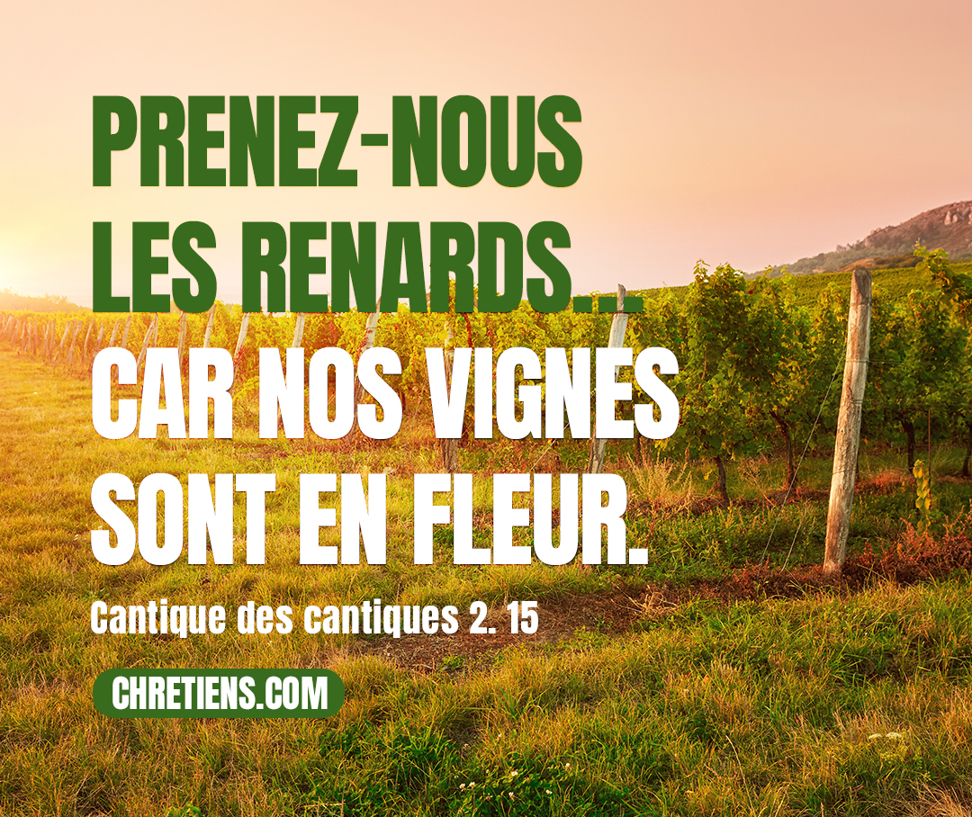 Prenez-nous les renards, Les petits renards qui ravagent les vignes ; Car nos vignes sont en fleur. Cantique des cantiques 2:15 