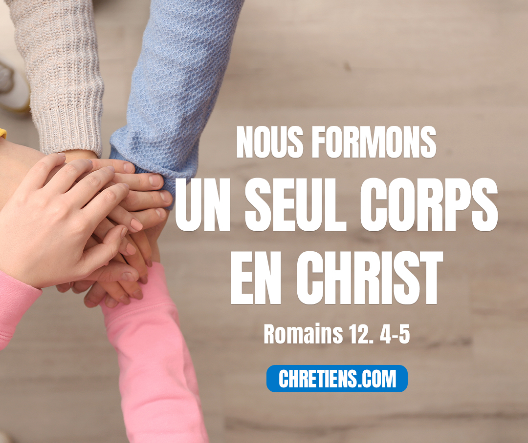 De même… que dans un seul corps nous avons beaucoup de membres et que tous les membres n’ont pas la même fonction, ainsi, nous qui sommes beaucoup, sommes un seul corps en Christ et, chacun individuellement, membres les uns des autres. Romains 12:4, 5