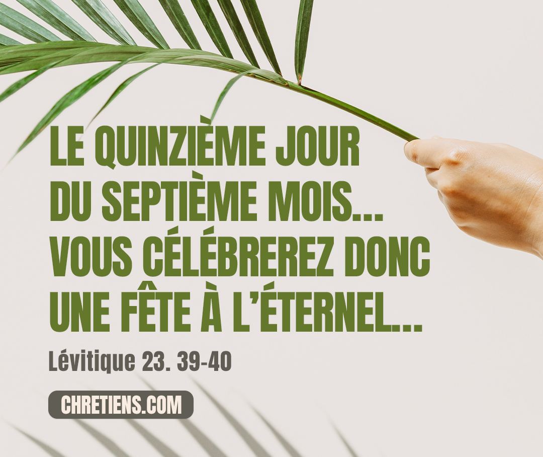 Le quinzième jour du septième mois, quand vous récolterez les produits du pays, vous célébrerez donc une fête à l’Éternel, pendant sept jours : le premier jour sera un jour de repos, et le huitième sera un jour de repos. Lévitique 23:39 