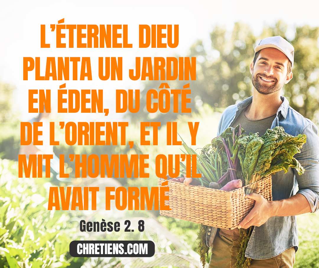 Genèse 2:8 - Puis l’Éternel Dieu planta un jardin en Éden, du côté de l’orient, et il y mit l’homme qu’il avait formé.