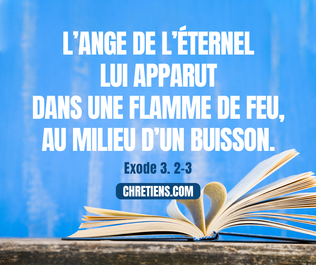 L’ange de l’Éternel lui apparut dans une flamme de feu, au milieu d’un buisson. Exode 3:2