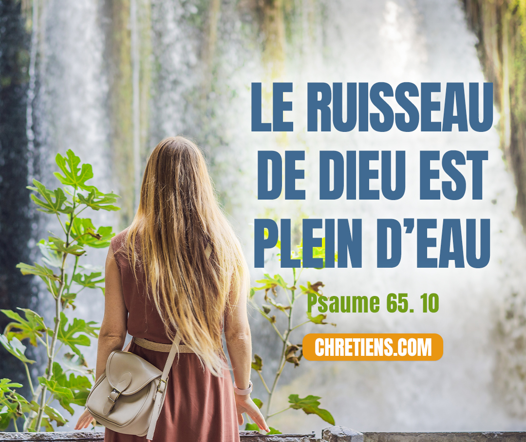 Tu visites la terre et tu lui donnes l’abondance, Tu la combles de richesses ; le ruisseau de Dieu est plein d’eau ; Tu prépares le blé, quand tu la fertilises ainsi. Psaumes 65:9-10 