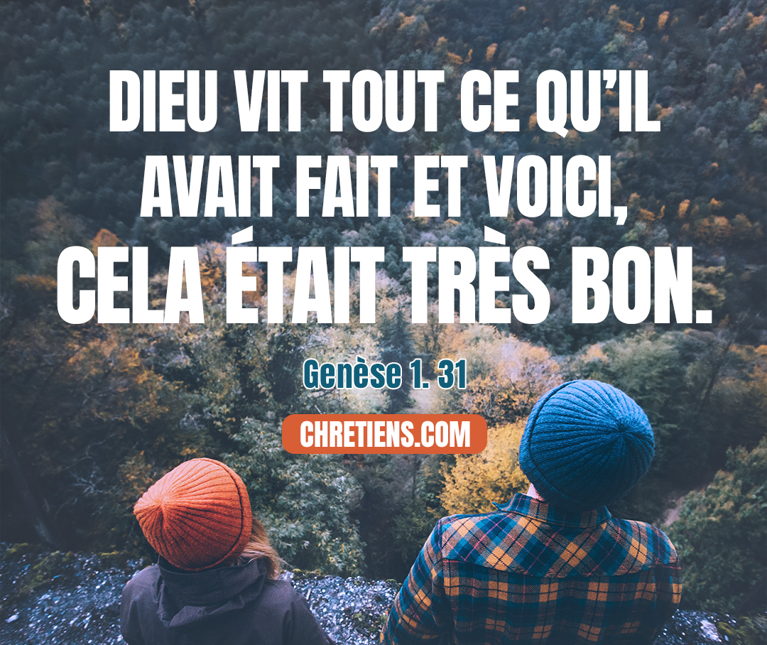 Dieu vit tout ce qu’il avait fait et voici, cela était très bon. Ainsi, il y eut un soir, et il y eut un matin : ce fut le sixième jour. Genèse 1:31 