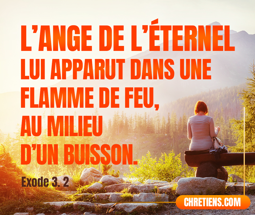 L’ange de l’Éternel lui apparut dans une flamme de feu, au milieu d’un buisson. Moïse regarda ; et voici, le buisson était tout en feu, et le buisson ne se consumait point. Exode 3:2