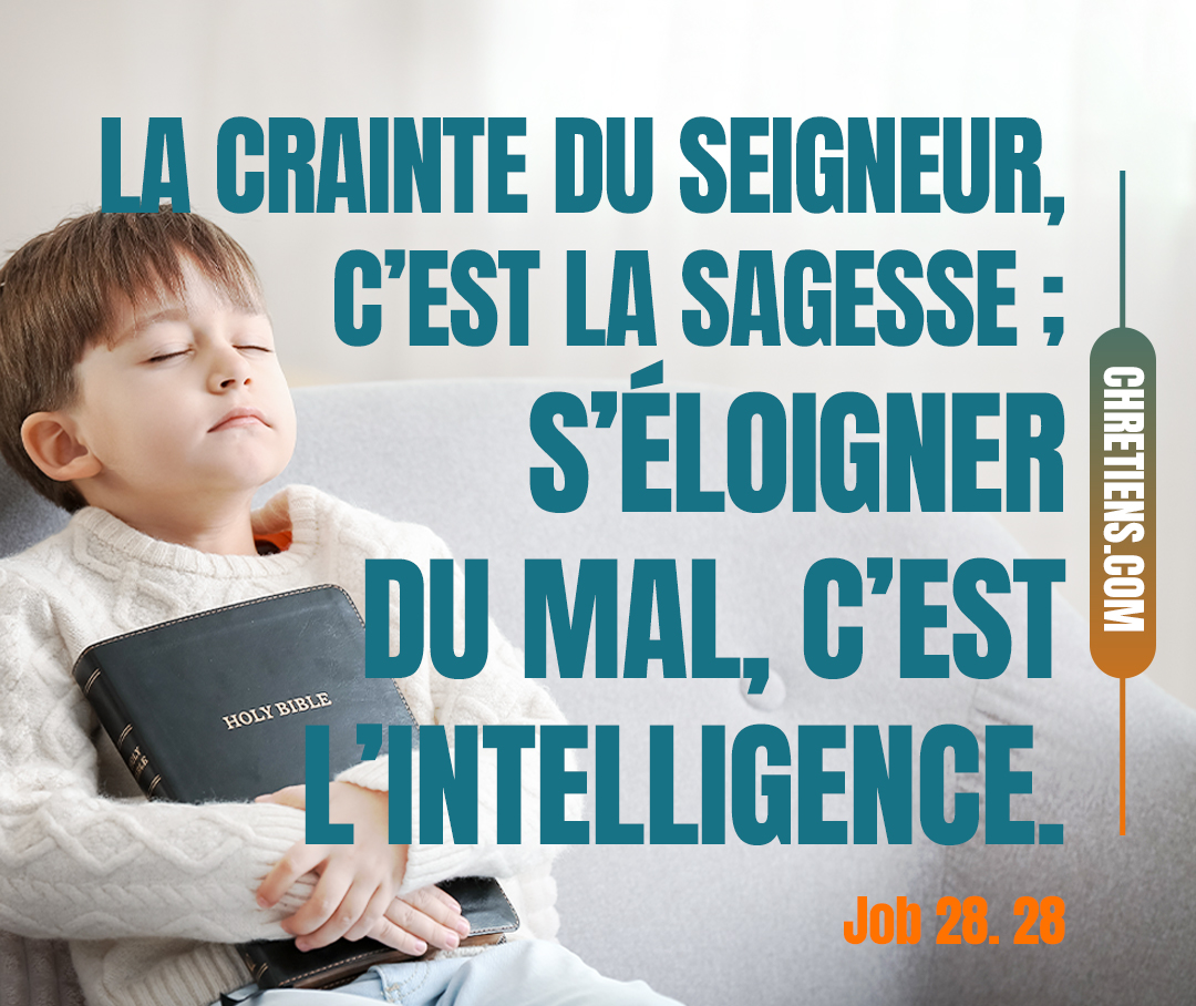 Voici, la crainte du Seigneur, c’est la sagesse ; S’éloigner du mal, c’est l’intelligence. Job 28:28