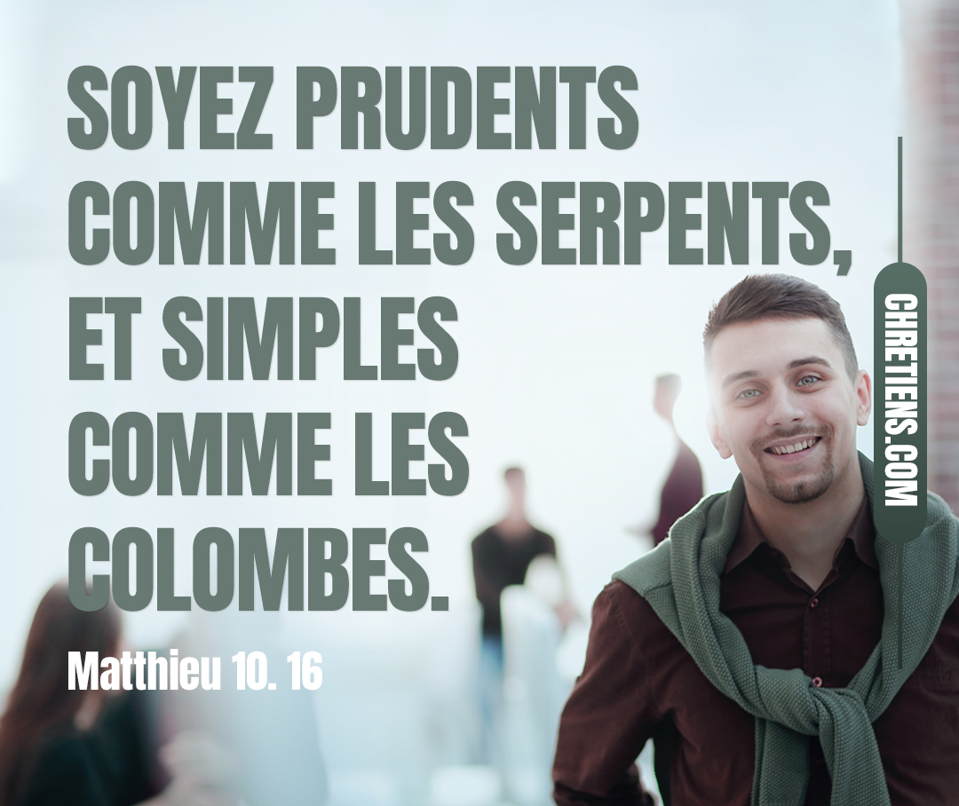 (Jésus dit :)  Voici, je vous envoie comme des brebis au milieu des loups. Soyez donc prudents comme les serpents, et simples comme les colombes. Matthieu 10:16