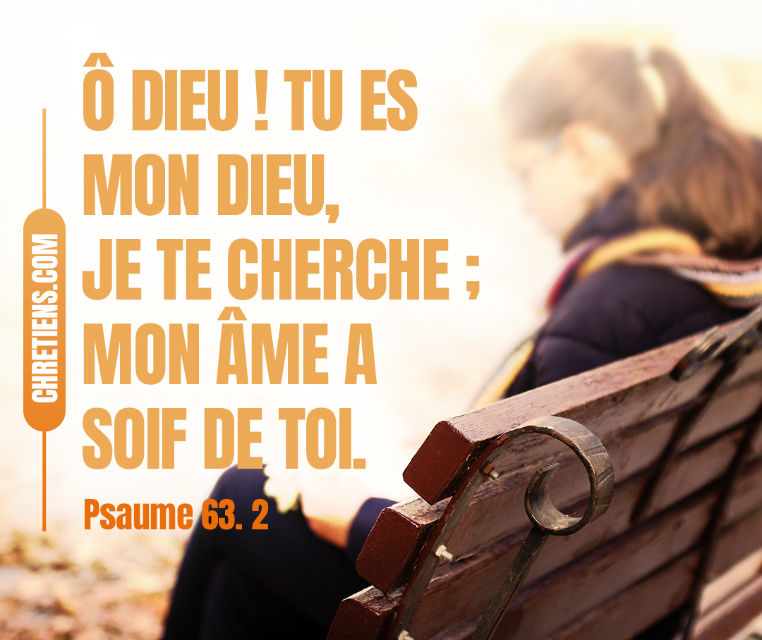 Psaumes 63:1 - (63.1) Psaume de David. Lorsqu’il était dans le désert de Juda. (63.2) Ô Dieu ! Tu es mon Dieu, je te cherche ; Mon âme a soif de toi, mon corps soupire après toi, Dans une terre aride, desséchée, sans eau.