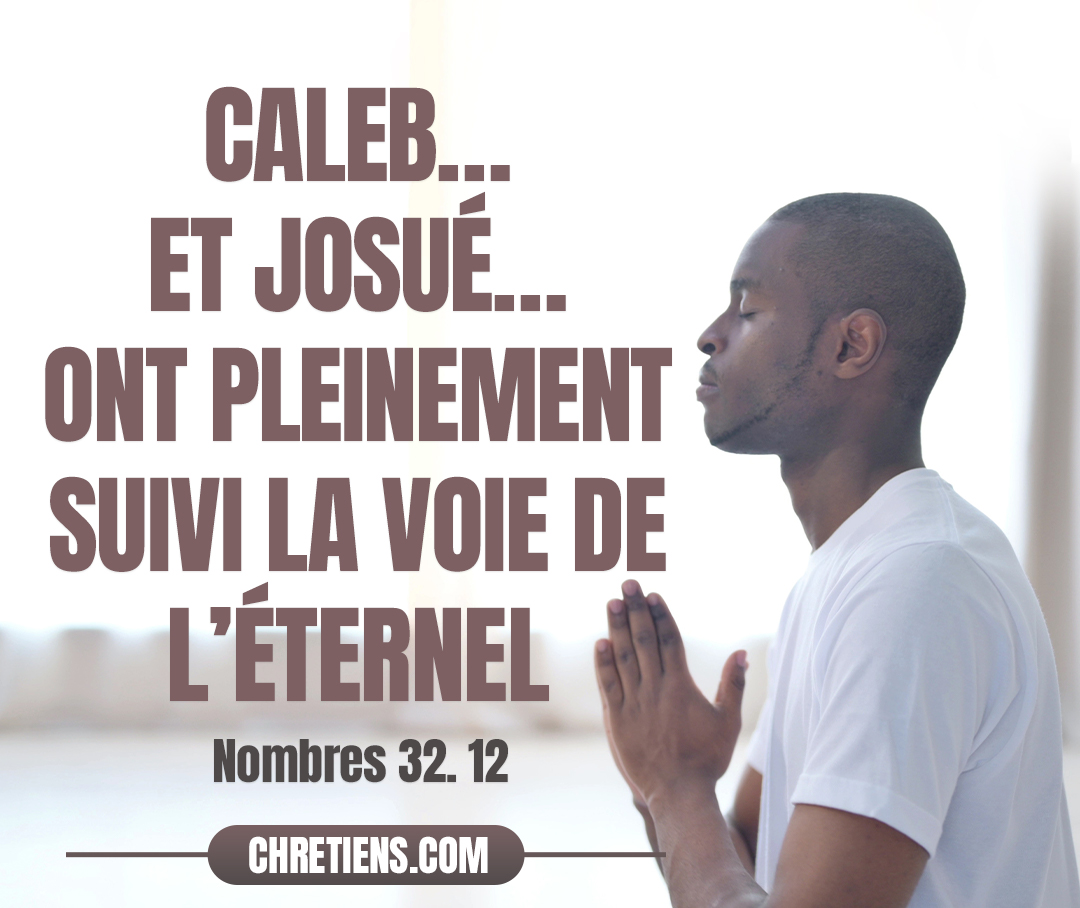 Excepté Caleb, fils de Jephunné, le Kenizien, et Josué, fils de Nun, qui ont pleinement suivi la voie de l’Éternel. Nombres 32:12