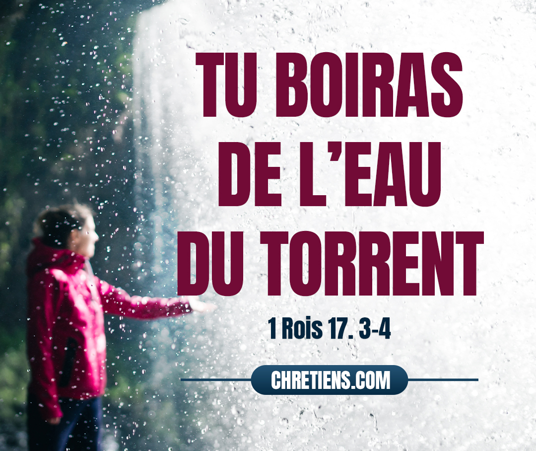 Pars d’ici, dirige-toi vers l’orient, et cache-toi près du torrent de Kerith, qui est en face du Jourdain. Tu boiras de l’eau du torrent, et j’ai ordonné aux corbeaux de te nourrir là. 1 Rois 17:3-4