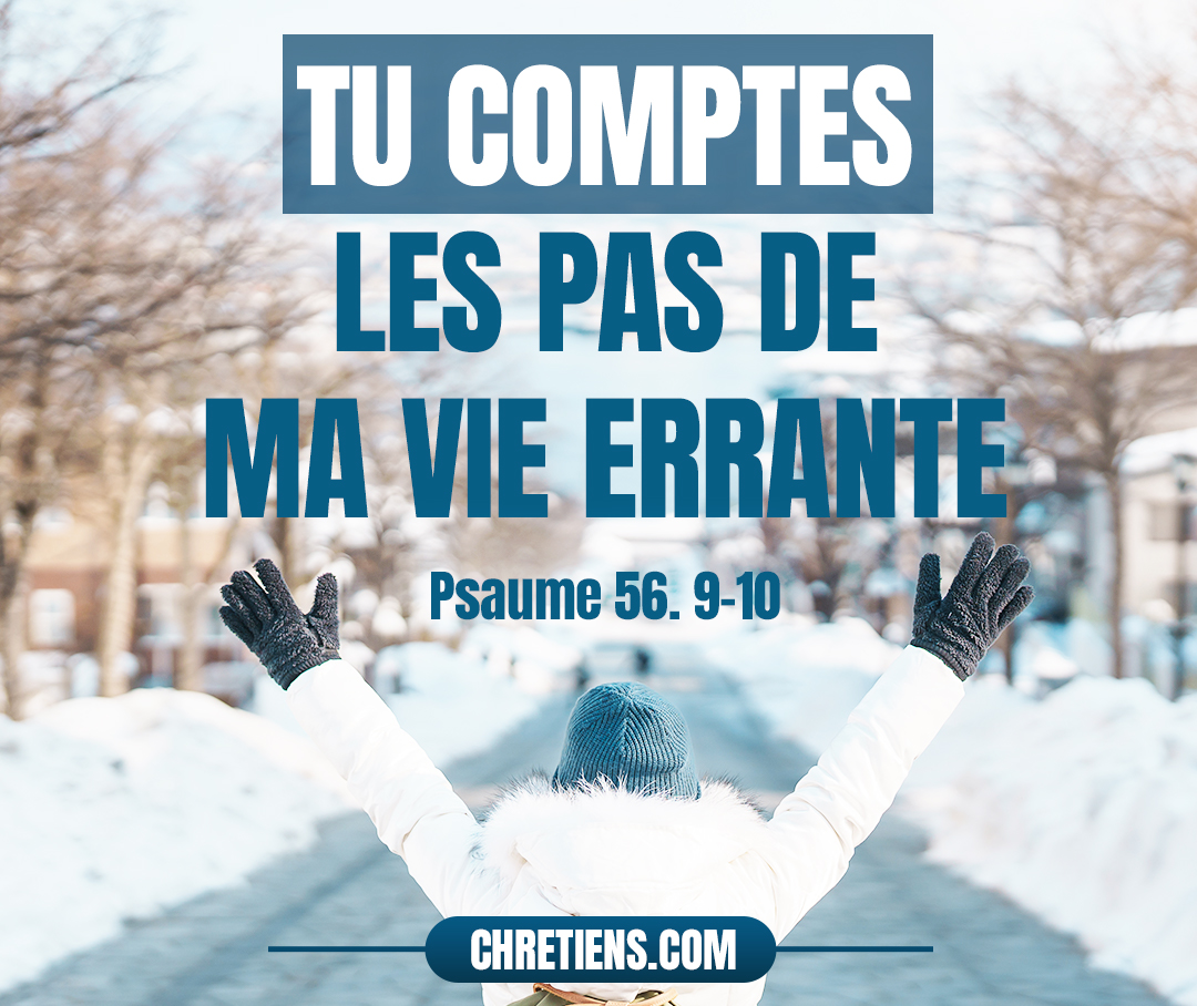 Psaumes 56:8 - (56.9) Tu comptes les pas de ma vie errante ; Recueille mes larmes dans ton outre : Ne sont-elles pas inscrites dans ton livre ?