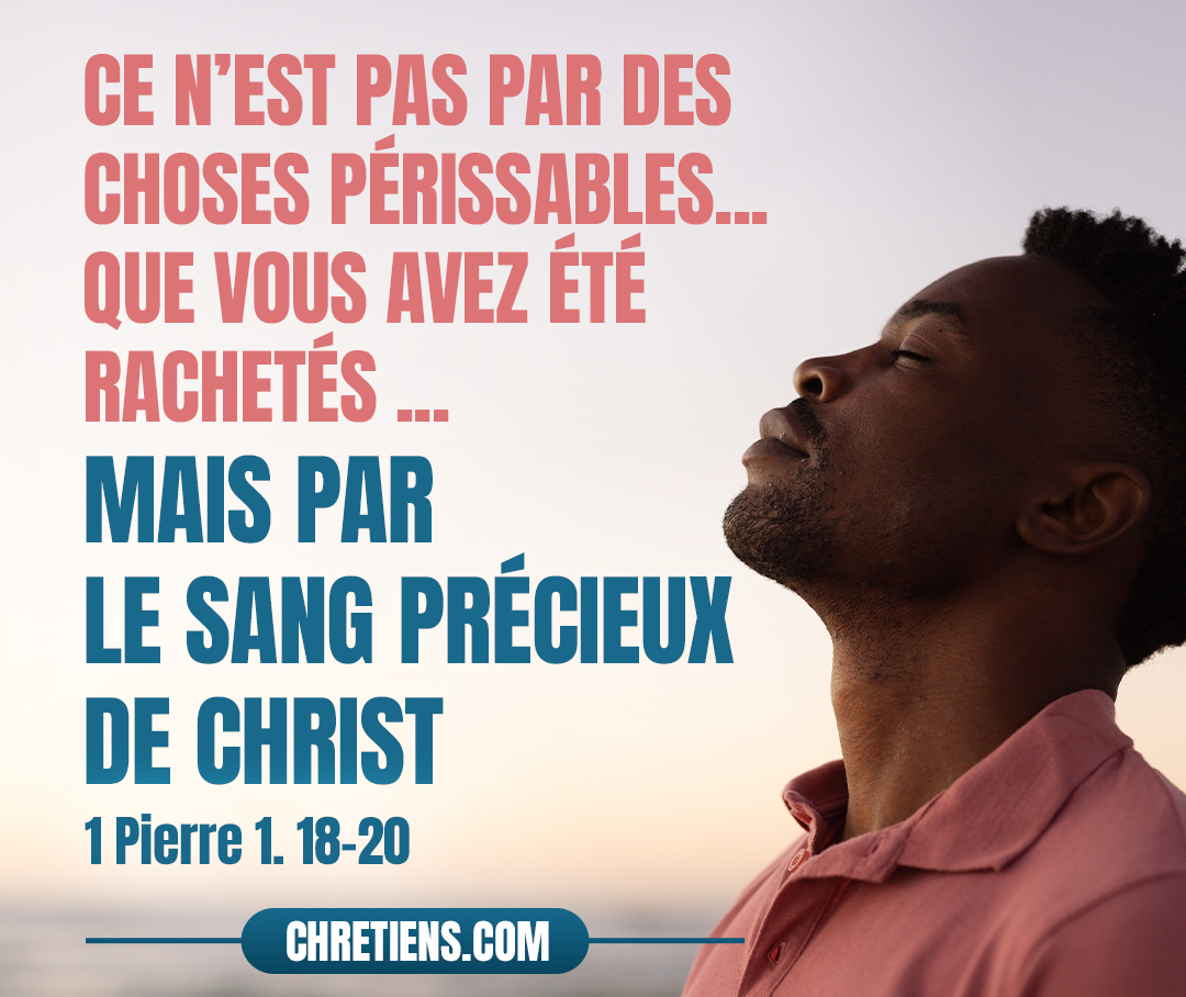 Sachant que ce n’est pas par des choses périssables, par de l’argent ou de l’or, que vous avez été rachetés de la vaine manière de vivre que vous avez héritée de vos pères, mais par le sang précieux de Christ, comme d’un agneau sans défaut et sans tache, prédestiné avant la fondation du monde, et manifesté à la fin des temps, à cause de vous. 1 Pierre 1:18-20 . 