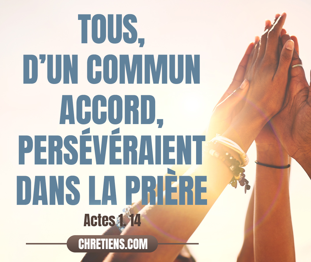 Tous d’un commun accord persévéraient dans la prière, avec les femmes, et Marie, mère de Jésus, et avec les frères de Jésus. Actes 1:14 