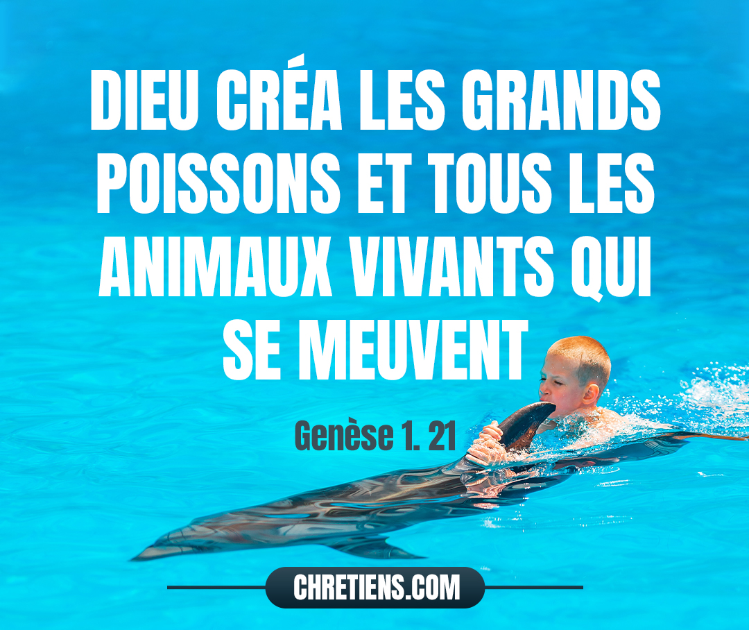 Dieu créa les grands poissons et tous les animaux vivants qui se meuvent, et que les eaux produisirent en abondance selon leur espèce ; il créa aussi tout oiseau ailé selon son espèce. Dieu vit que cela était bon. Genèse 1:21 