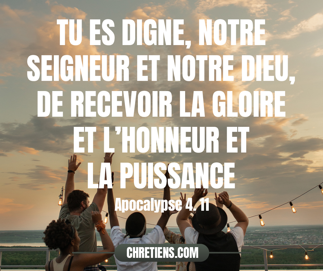 Tu es digne, notre Seigneur et notre Dieu, de recevoir la gloire et l’honneur et la puissance ; car tu as créé toutes choses, et c’est par ta volonté qu’elles existent et qu’elles ont été créées. Apocalypse 4:11 