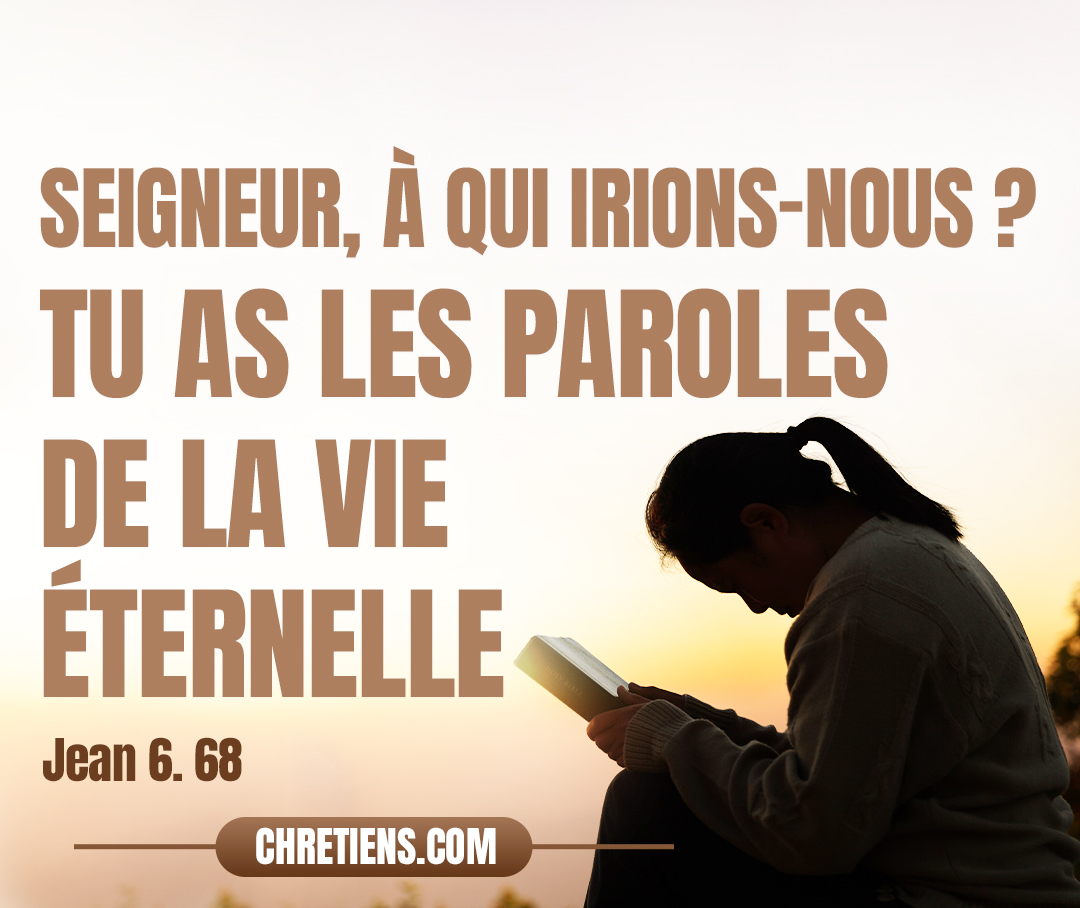 Simon Pierre lui répondit : Seigneur, à qui irions-nous ? Tu as les paroles de la vie éternelle. Jean 6:68 